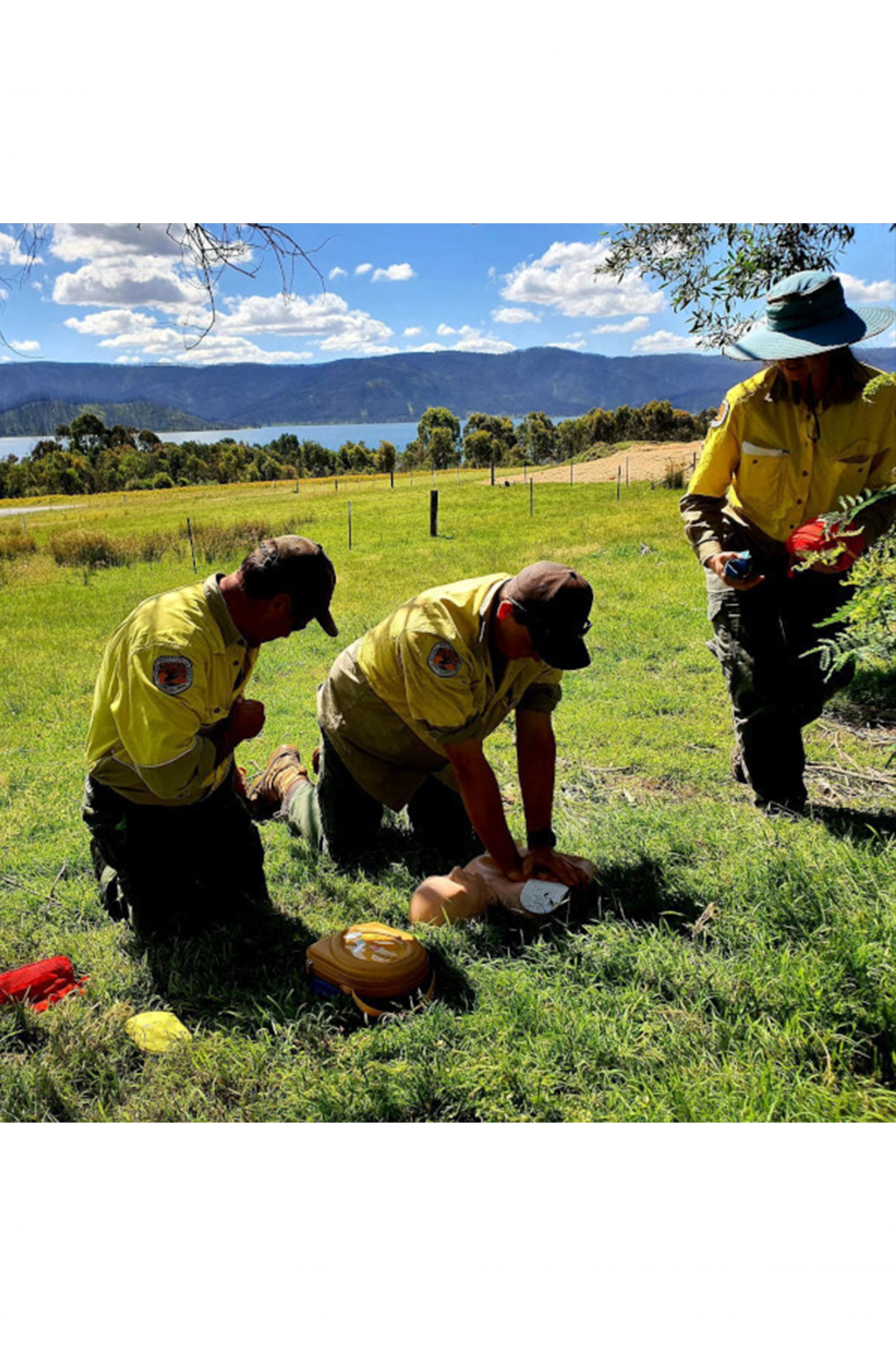 Remote Casualty Care