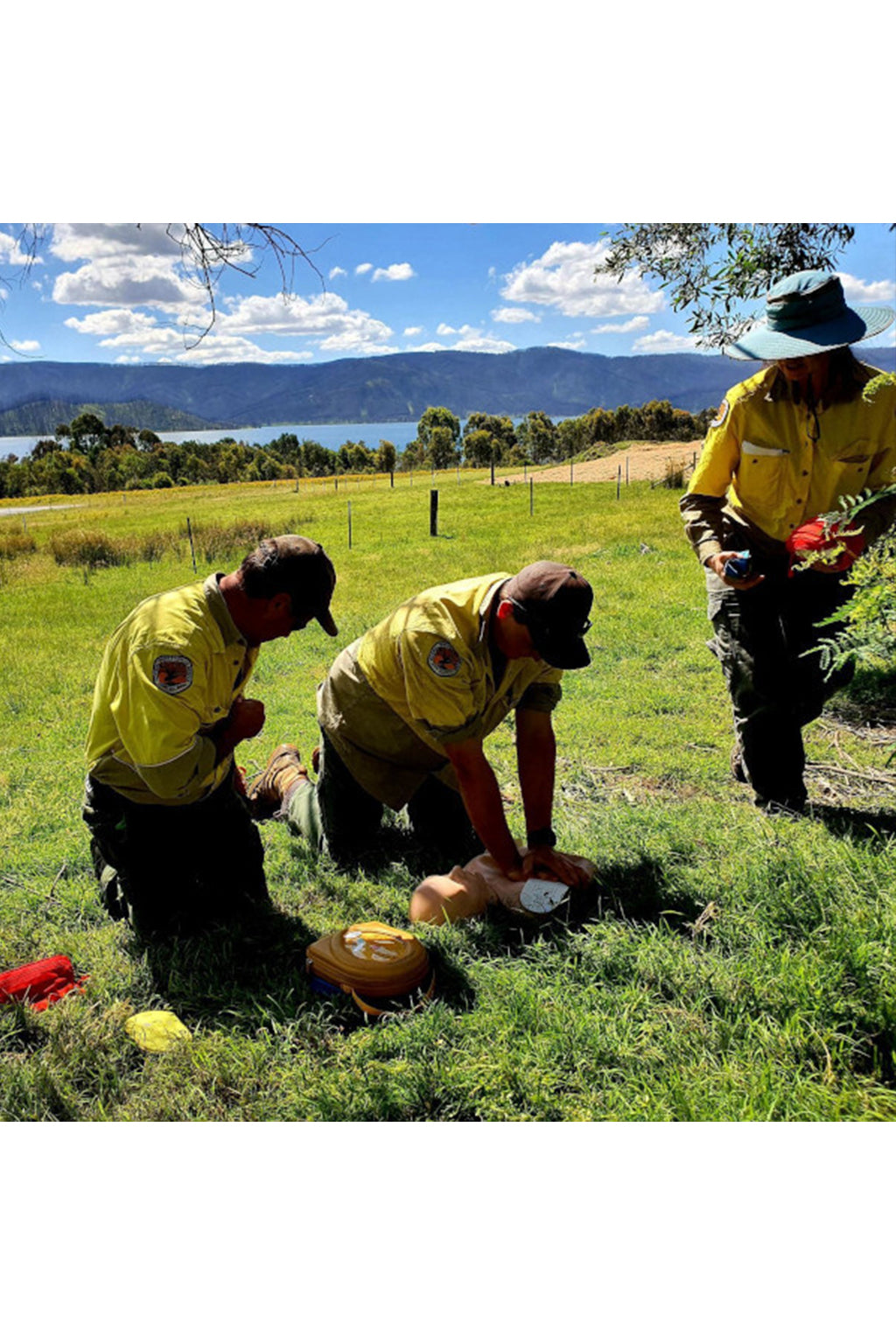 Remote Casualty Care