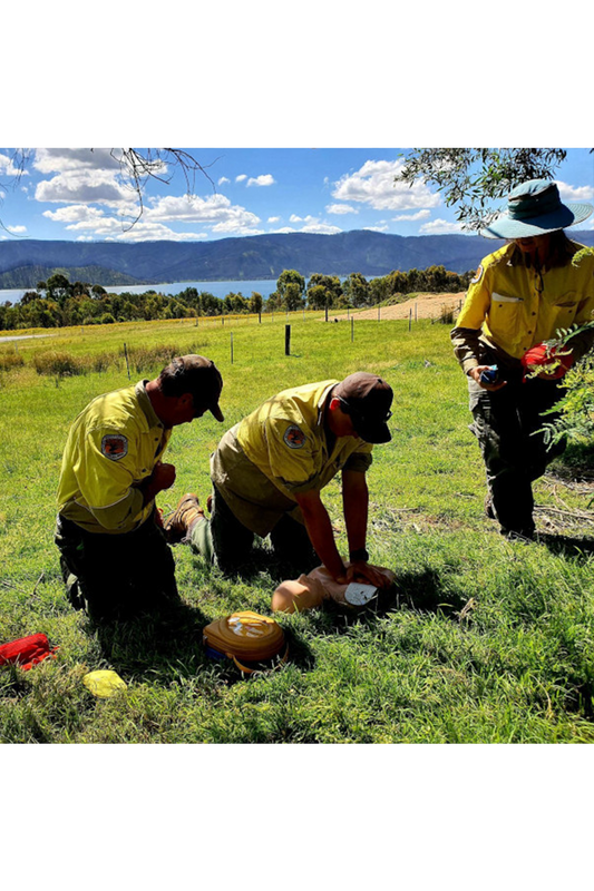 Remote Casualty Care