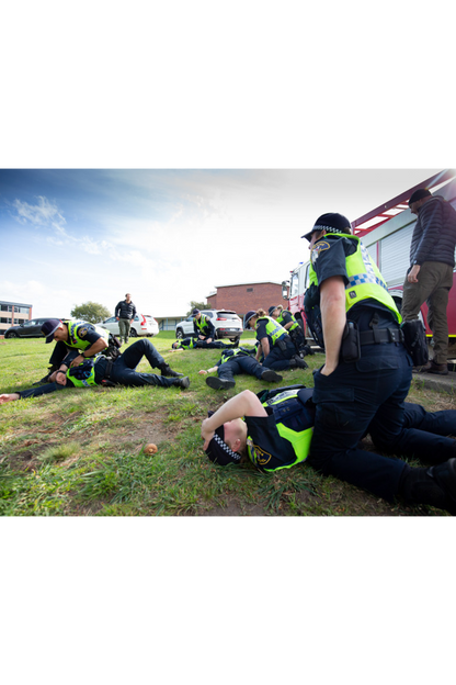 Group / Bespoke Training