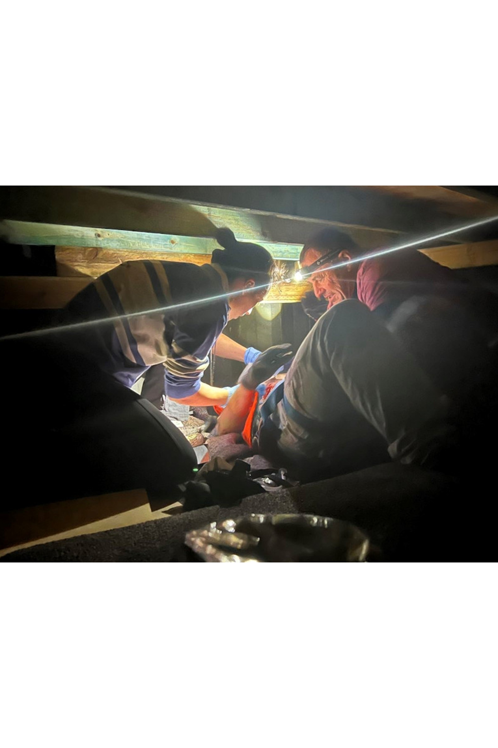 Group / Bespoke Training