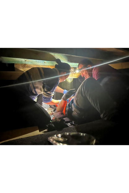 Group / Bespoke Training