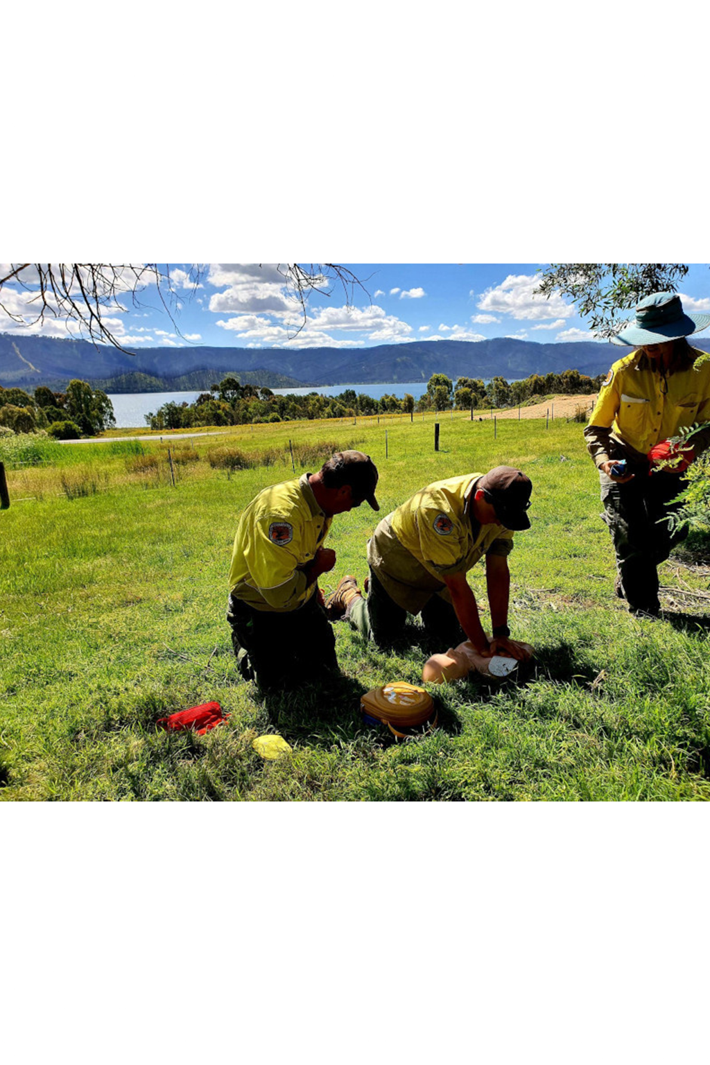 Group / Bespoke Training