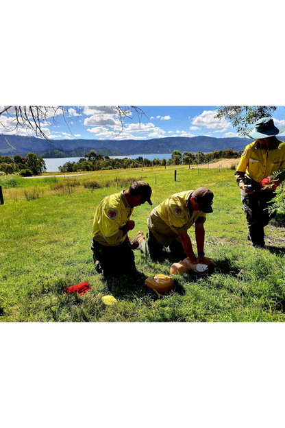 Group / Bespoke Training